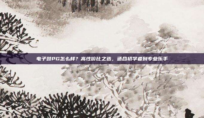 电子鼓PG怎么样?高性价比之选,适合初学者到专业乐手
