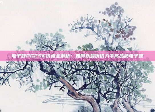 电子鼓PG25K价格全解析:如何以最优价入手高品质电子鼓