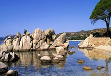 pg电子送礼金怎么领怎么用？揭秘免费礼金获取技巧与使用策略