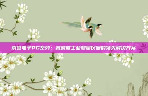 南宫电子PG系列：高精度工业测量仪器的领先解决方案