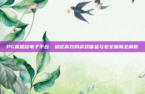 PG直营站电子平台:稳定高效的游戏体验与安全保障全解析