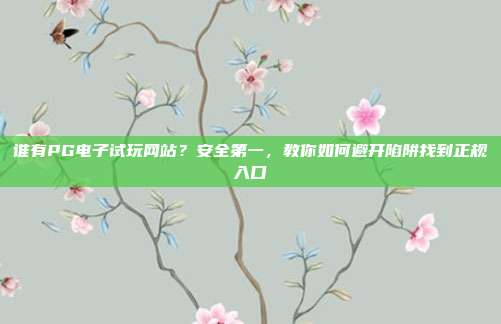 谁有PG电子试玩网站?安全第一,教你如何避开陷阱找到正规入口