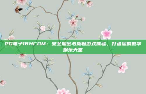 PG电子16HCOM：安全加密与流畅游戏体验，打造您的数字娱乐天堂