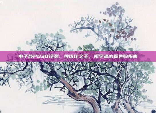 电子鼓PG30评测:性价比之王,初学者必看选购指南