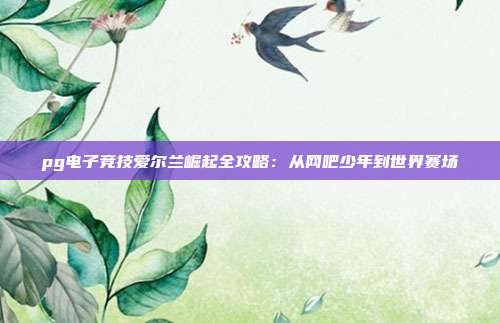 pg电子竞技爱尔兰崛起全攻略:从网吧少年到世界赛场