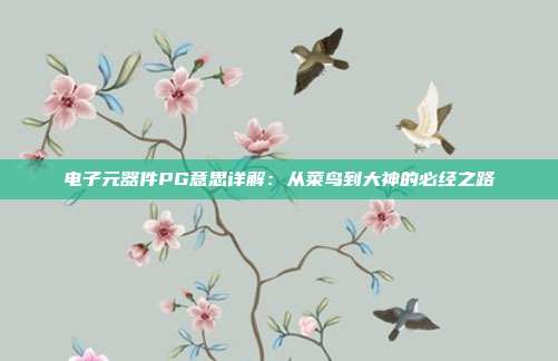 电子元器件PG意思详解：从菜鸟到大神的必经之路