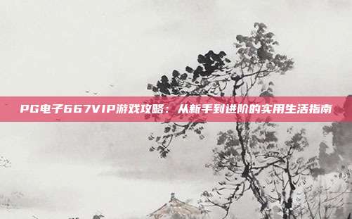 PG电子667VIP游戏攻略:从新手到进阶的实用生活指南