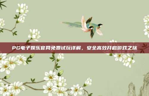 PG电子娱乐官网免费试玩详解,安全高效开启游戏之旅