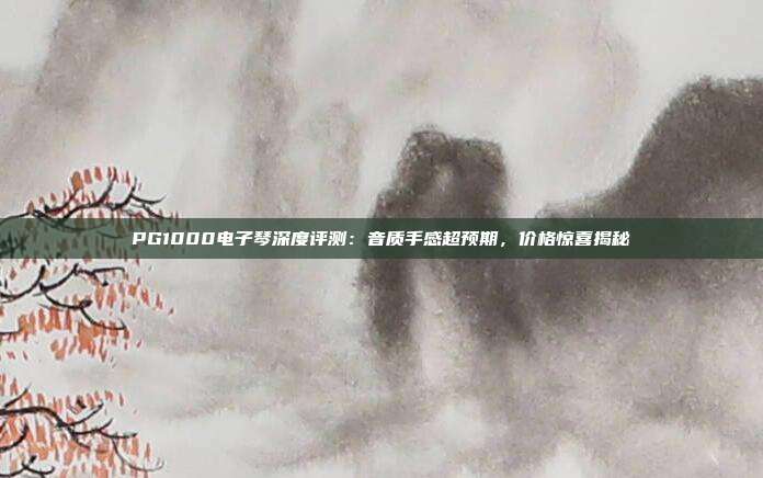 PG1000电子琴深度评测:音质手感超预期,价格惊喜揭秘