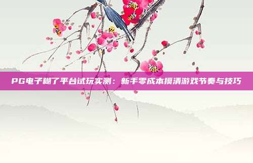 PG电子糊了平台试玩实测：新手零成本摸清游戏节奏与技巧