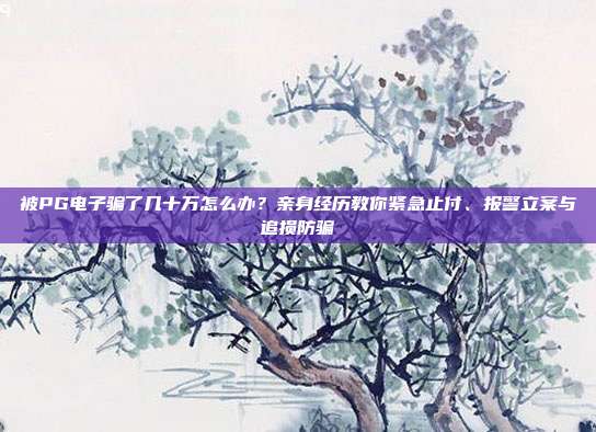 被PG电子骗了几十万怎么办?亲身经历教你紧急止付、报警立案与追损防骗
